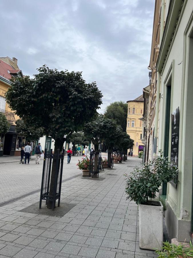 Wiener Garden Gyor Exterior photo